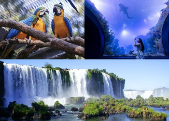 Transporte Cataratas + Parque das Aves + Aquafoz